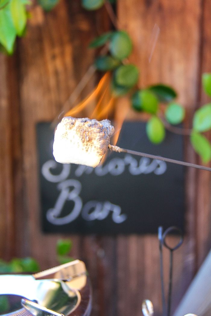 flames coming off a marshmallow on a metal skewer