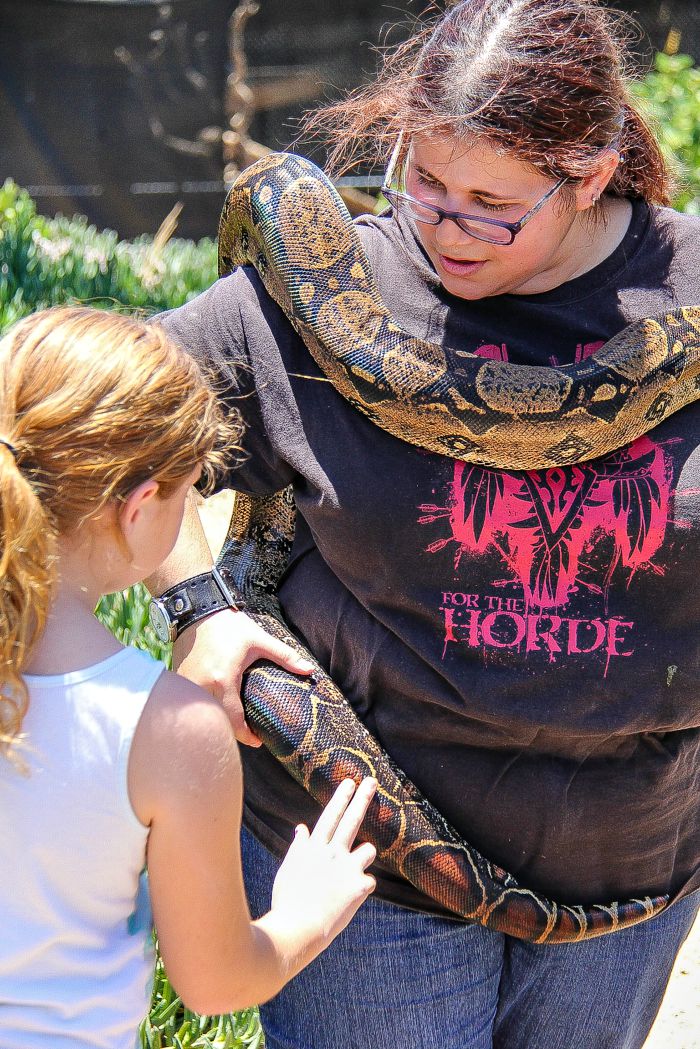 girl touching a python while a zoo keeper holds it