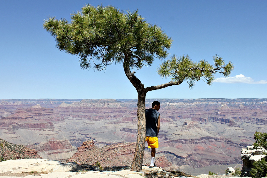 a teen standing by a tree overlooking the grand canyon