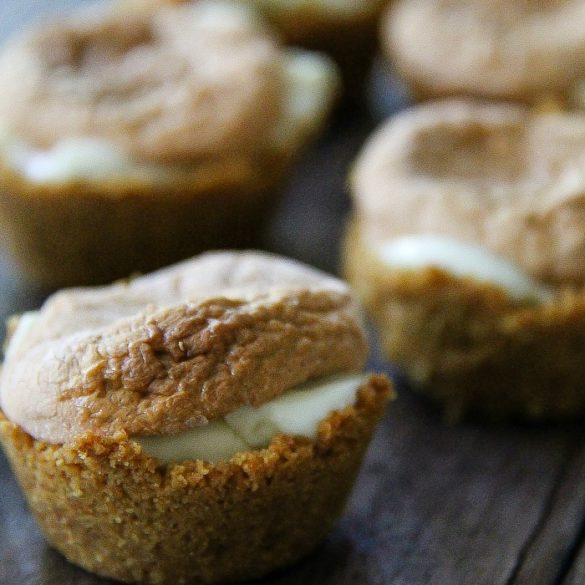 oven baked pumpkin spice and white chocolate smores bites