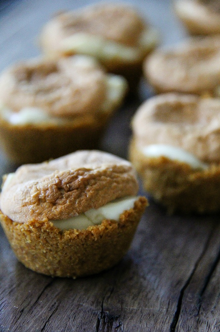 oven baked pumpkin spice and white chocolate smores bites