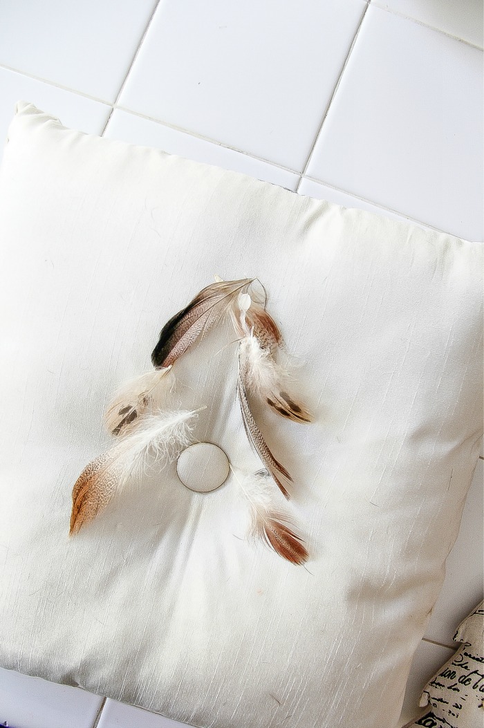 feathers on a pillow