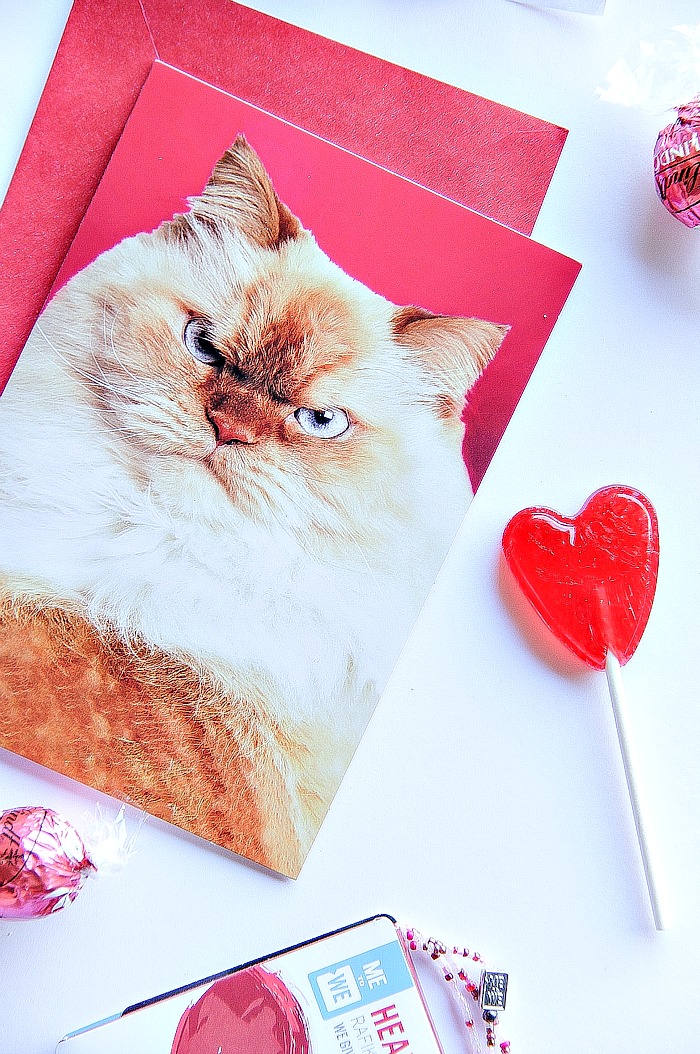 a grumpy cat valentine's day card