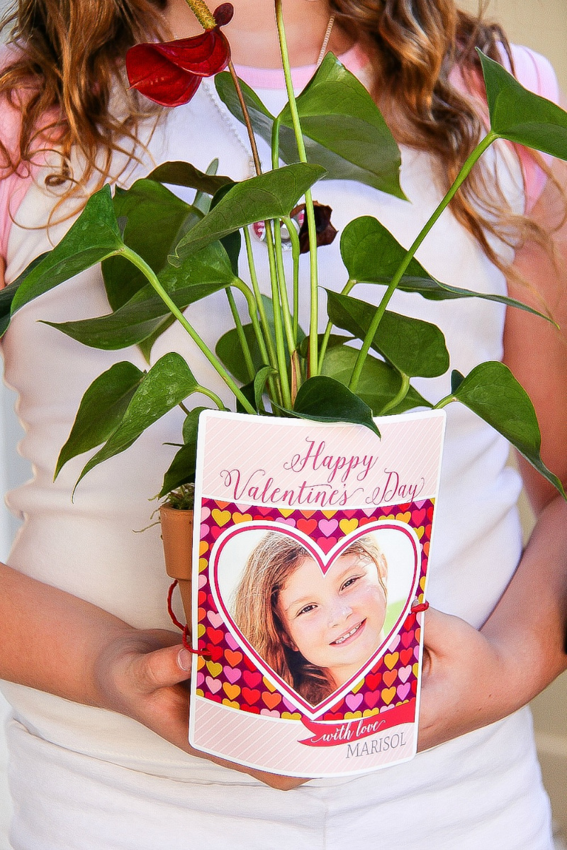 girl holding a plant and valentines day card