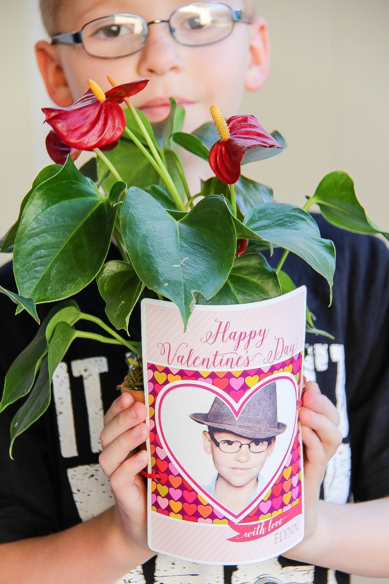 boy holding a plant and card for his teacher for valentines day