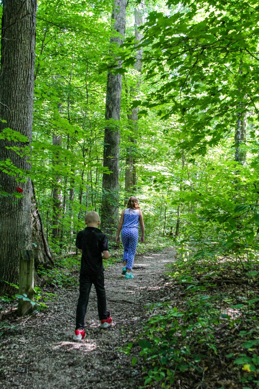 Bent Twig Loop at Bernheim forest with kids.