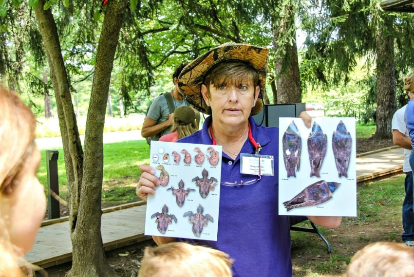 Kids learning about birds at Bernheim Arboretum and Research Forest in Kentucky.