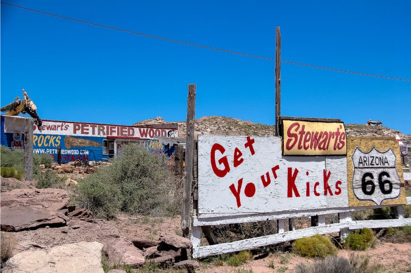 Road trip stop at Stewart's Petrified Wood in Arizona.