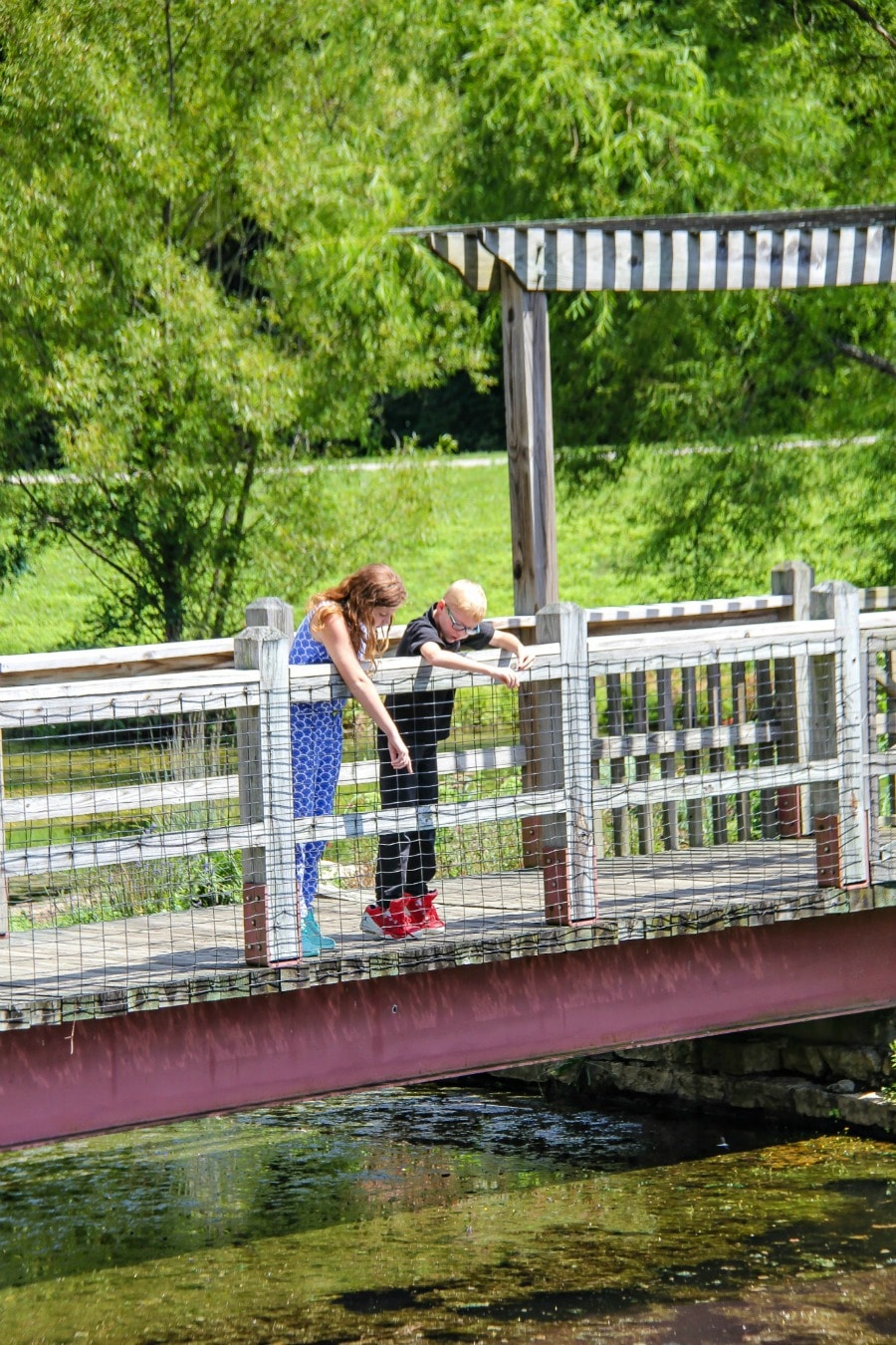 A bridge across Olmsted Ponds at Bernheim Forest.