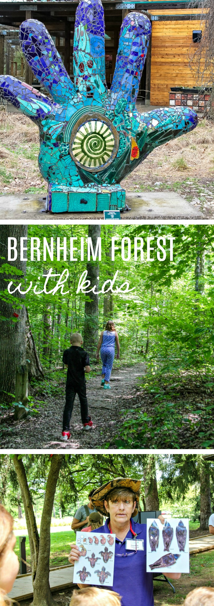 Bernheim forest Pinterest image