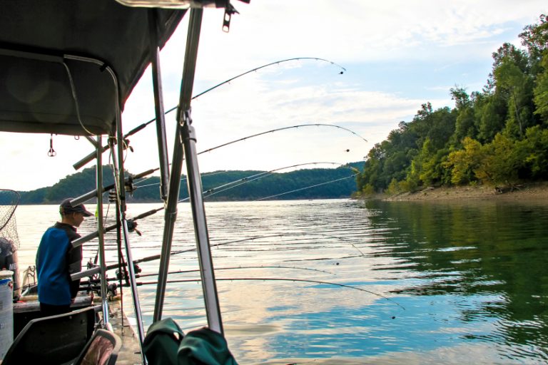 Fishing at Lake Cumberland with Kids Tonya Staab