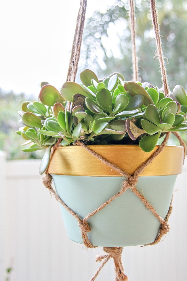 painted terracotta pot with a macrame hanger