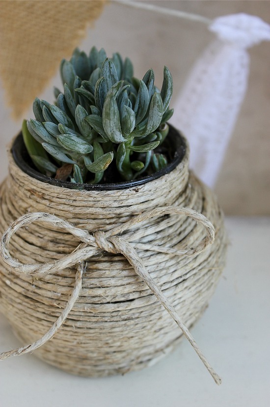 A jam jar wrapped in hemp cord and a succulent planted inside.