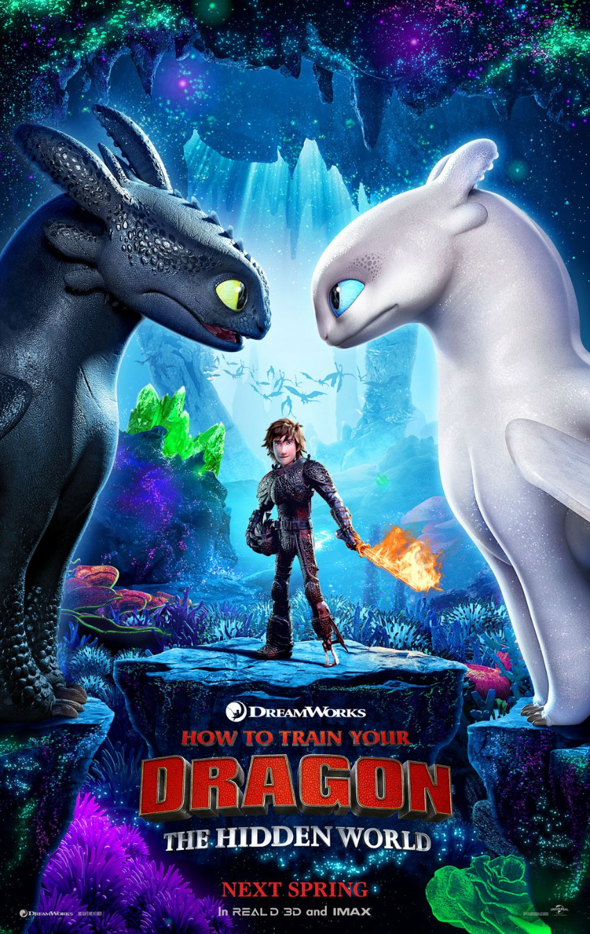 How to Train Your Dragon movie poster.