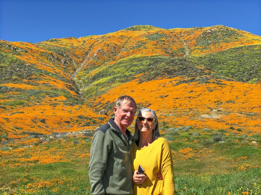 Mountains of orange California poppies in Lake Elsinore California.