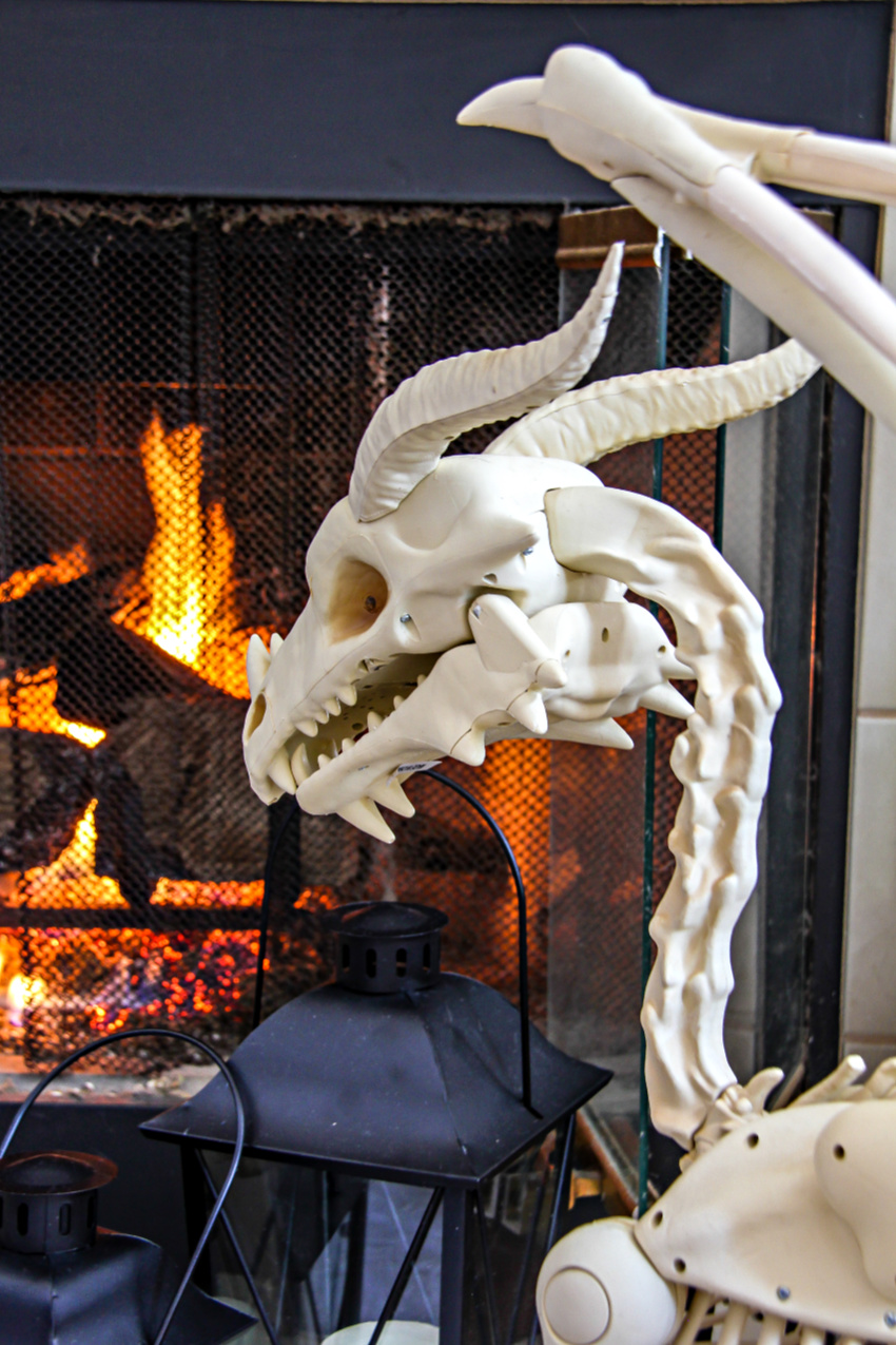 a dragon skeleton for Halloween. 