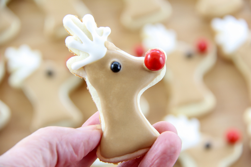 reindeer cookie