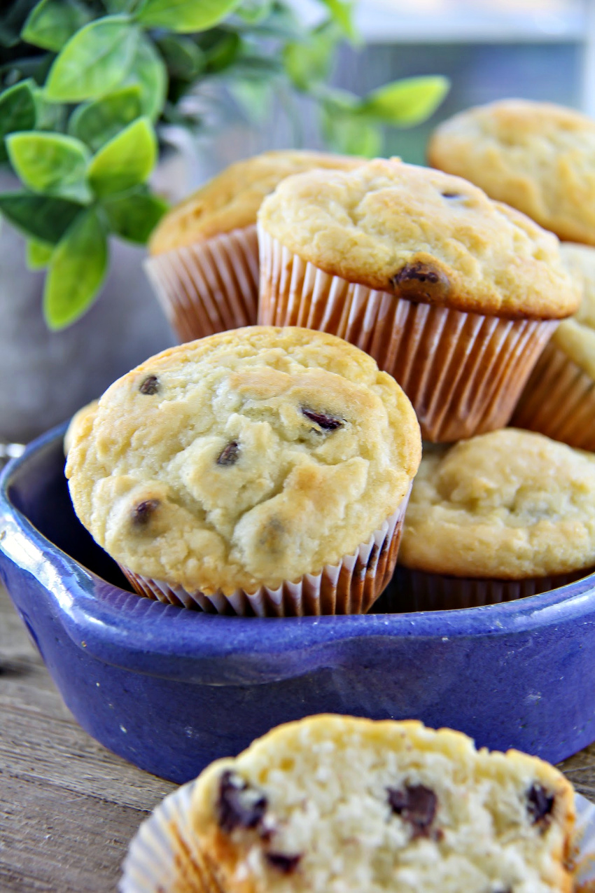 chocolate chip muffins in a blue bowl