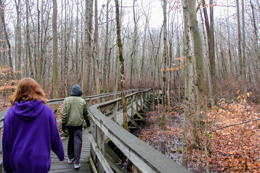 Outdoor winter activities in New Jersey with kids. A boy and girl walking along a boardwalk over a swamp surrounded by barren trees in winter in new jersey