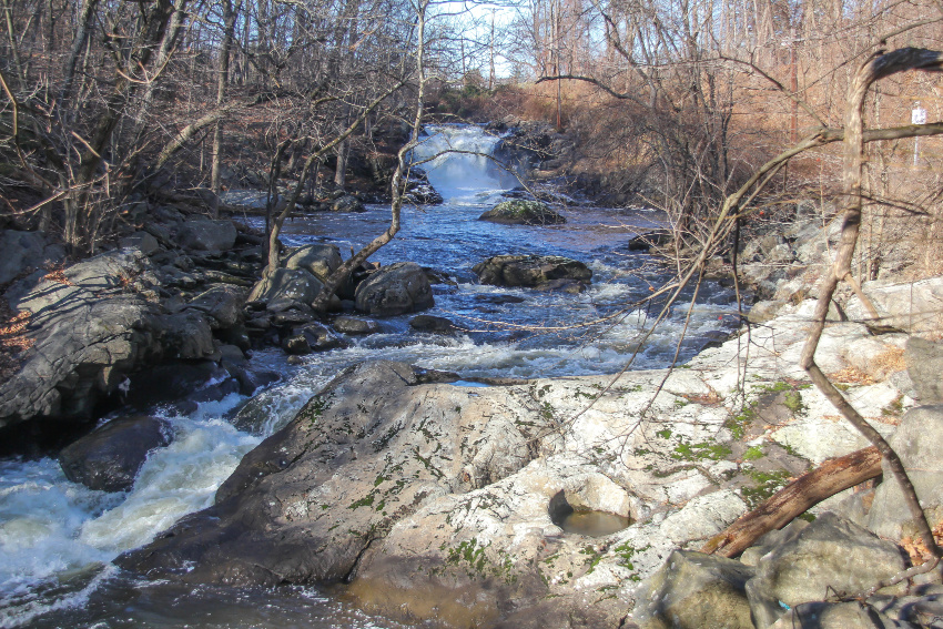 a waterfall and river flowing between barren trees and rocks