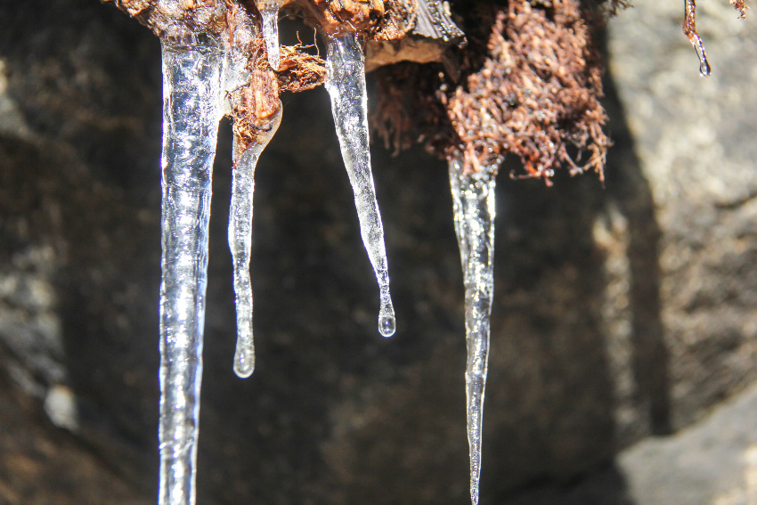 icicles hanging off wood