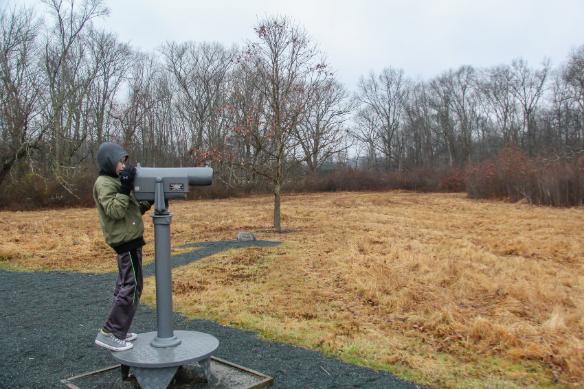 Outdoor winter activities in New Jersey for families. A boy observing wildlife through lens at the great swamp in new jersey