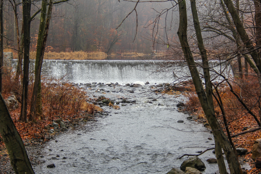 waterfall into the Rahway River in New Jersey surrounded by barren trees and red and orange foliage in winter