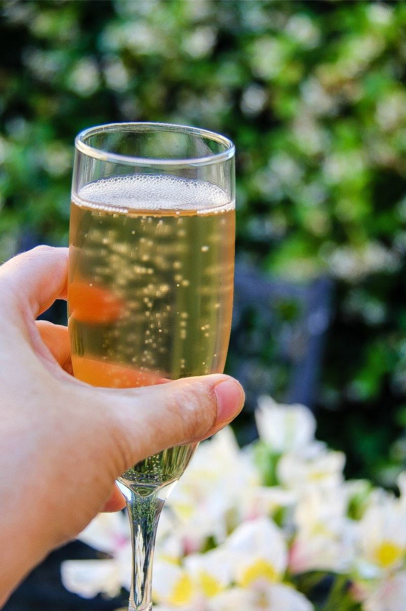 a hand holding a glass of sparkling wine