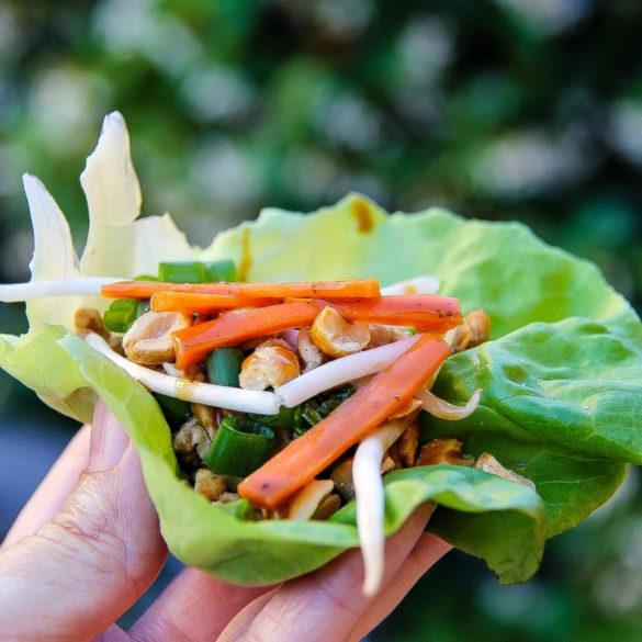 a hand holding a lettuce wrap filled with chicken, carrot, and other toppings