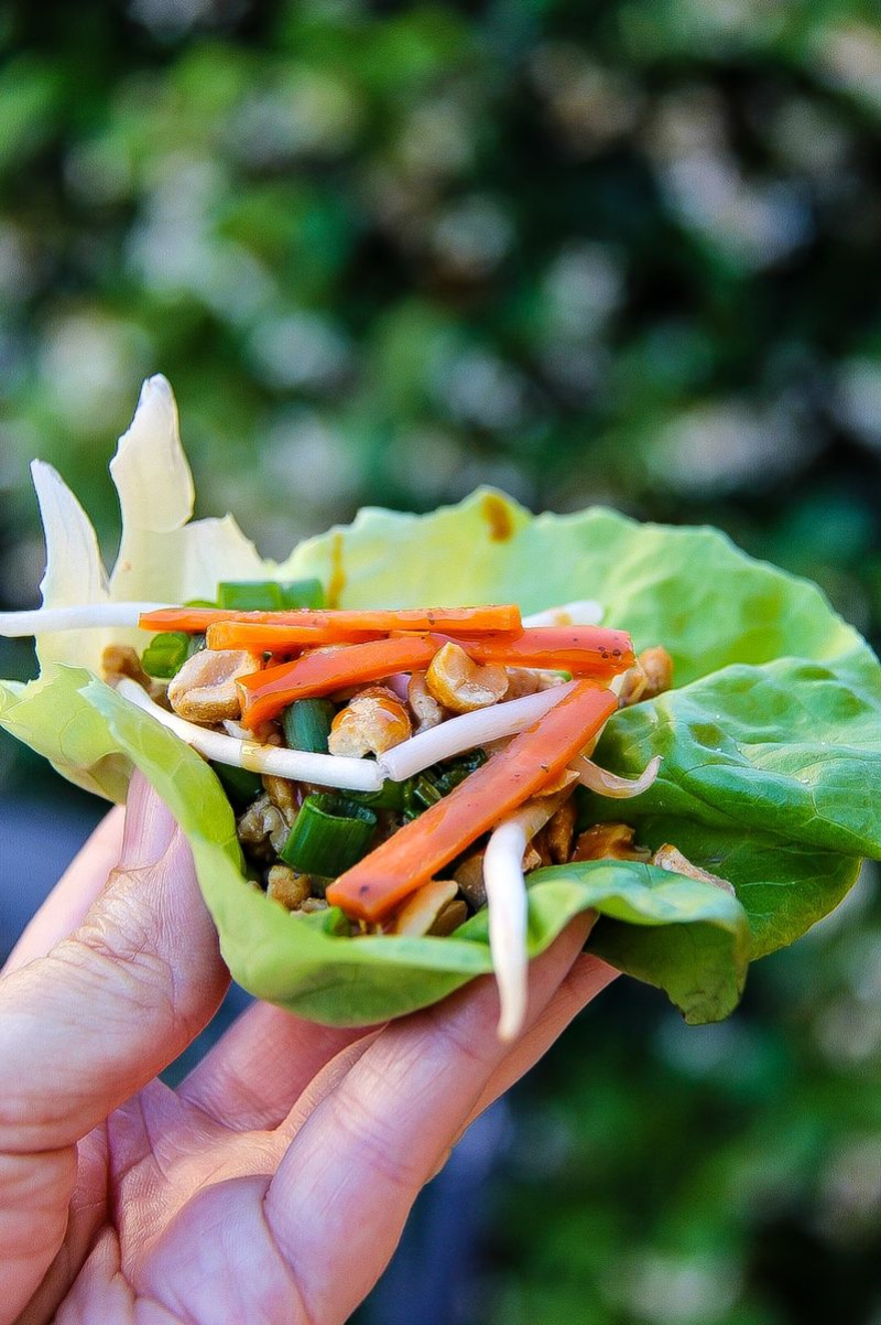 a hand holding a lettuce wrap filled with chicken, carrot, and other toppings