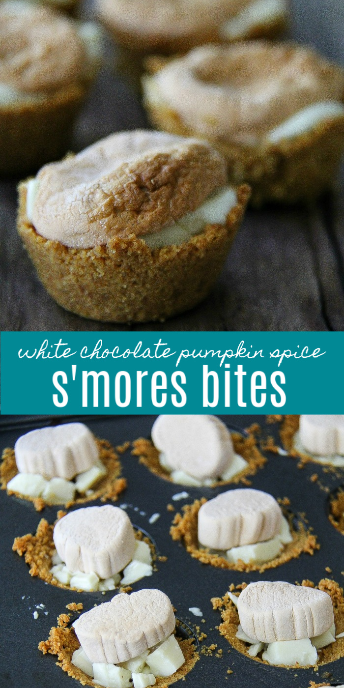 pumpkin marshmallow s'mores bites Pinterest image