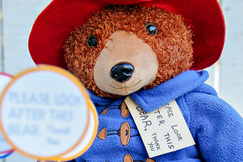 paddington teddy bear