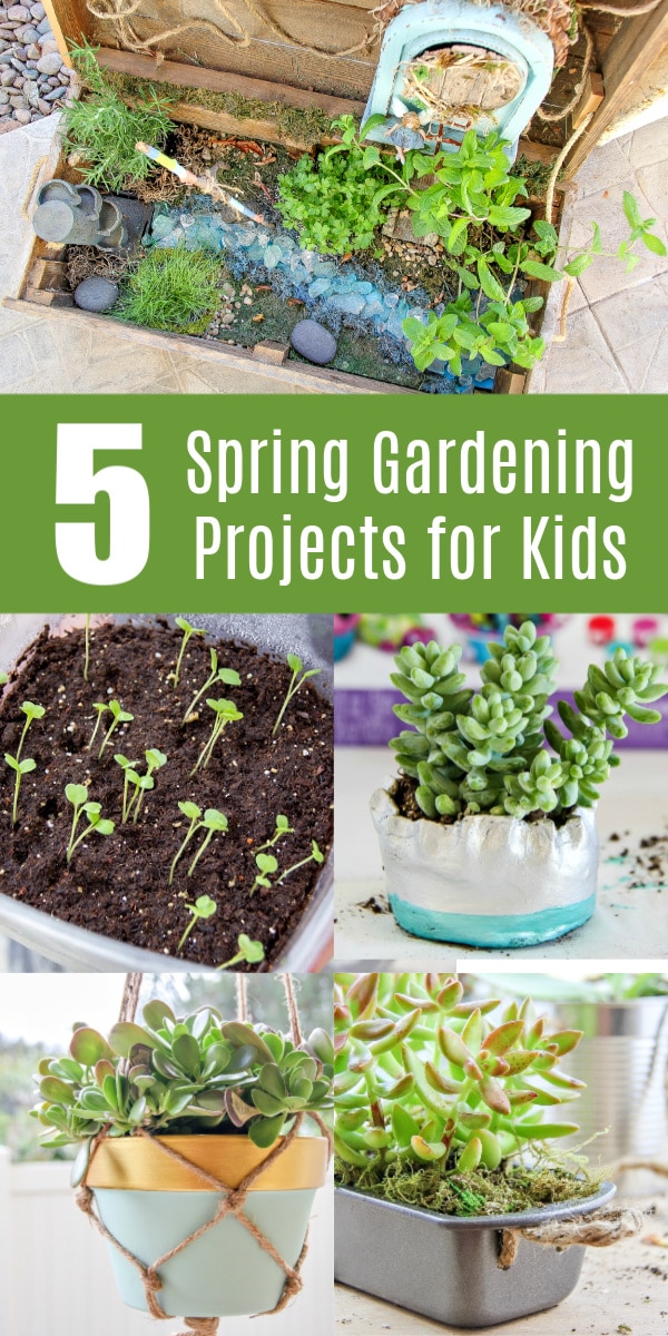 spring gardening for kids Pinterest image