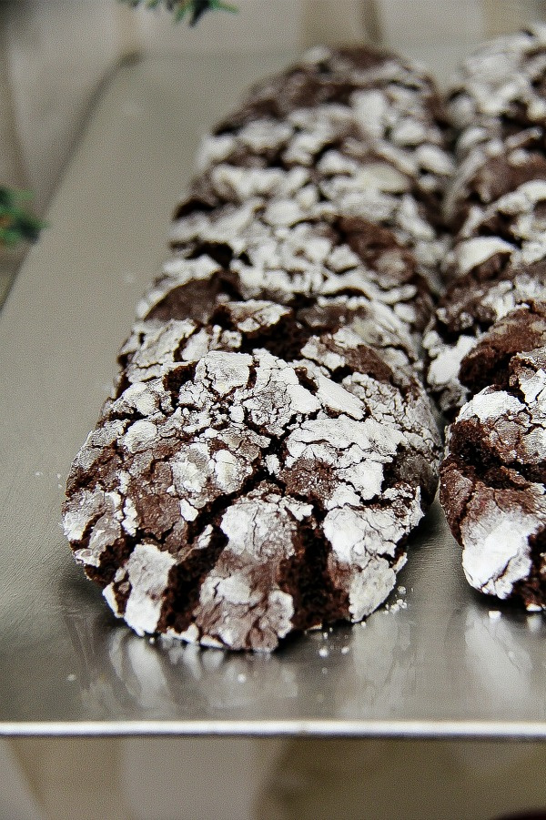 chocolate snowballs cookies