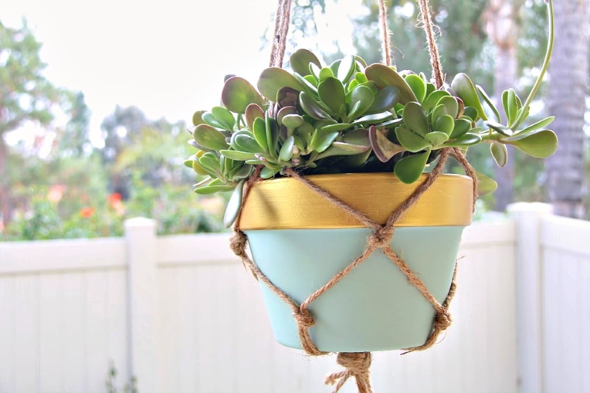 a succulent in a pale blue and gold pot inside a hanging macrame planter