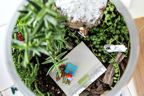 a terrarium with miniatures being assembled