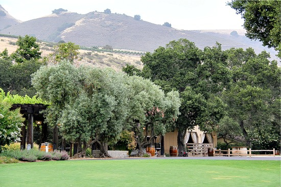 Holman Ranch in Carmel Valley