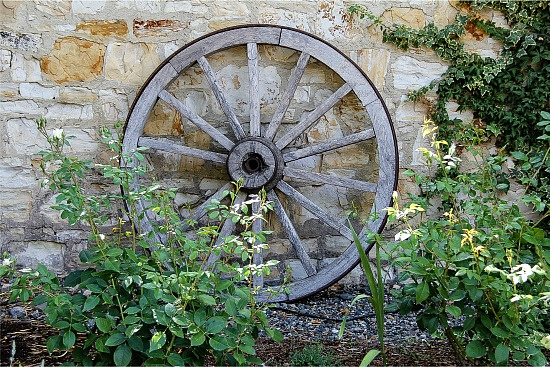 vintage wood wheel in a garden