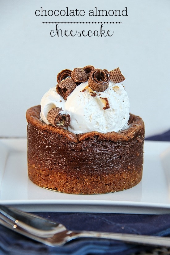 individual chocolate cheesecake topped with whipped cream and chocolate curls