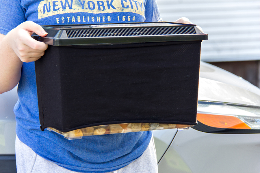 a girl holding a covered terrarium for a turtle to be transported in a car