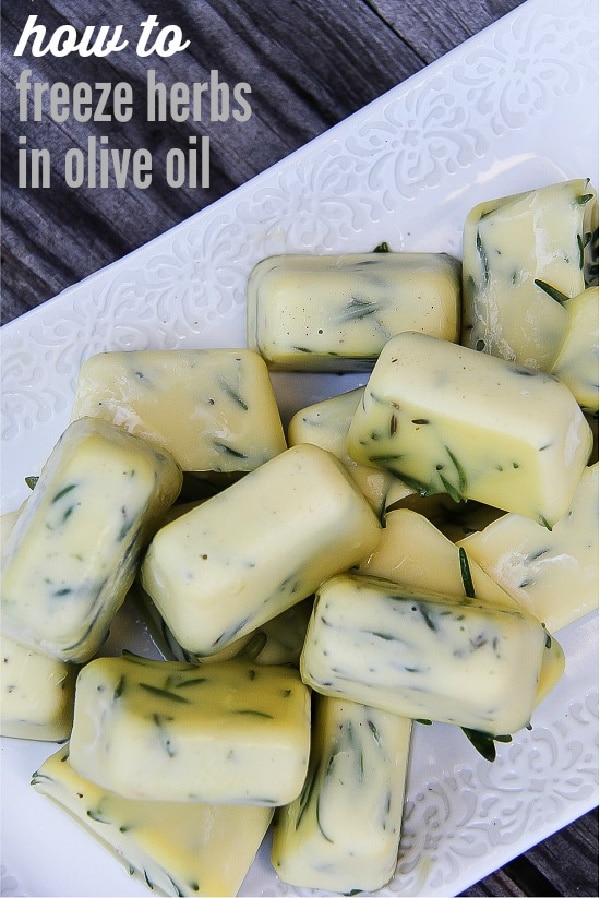 fresh rosemary frozen in ice cube trays with olive oil