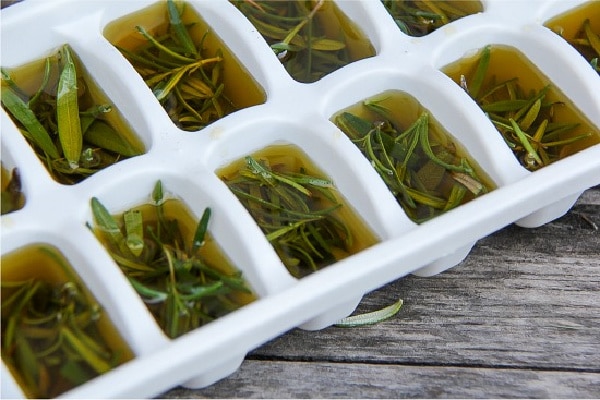 fresh rosemary and olive oil in a white ice cube tray