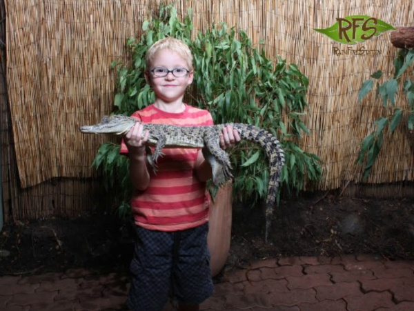 a boy holding a crocodile at kuranda