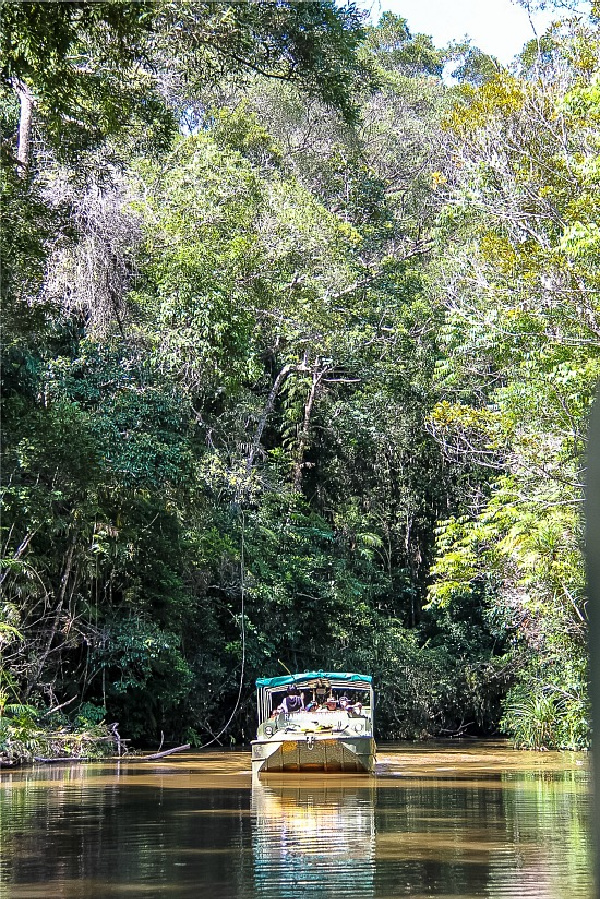 boat tour through Kuranda Rainforest