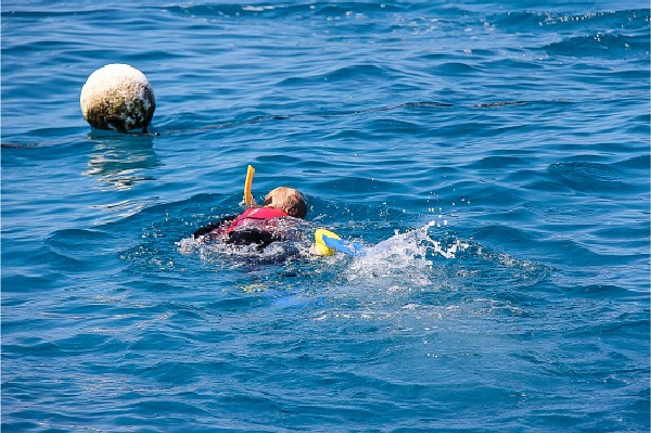 boy snorkeling in the blue water of the great barrier reef