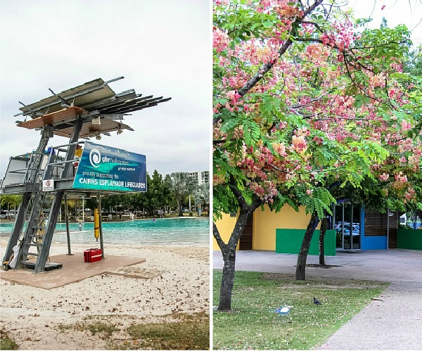 the lifeguard tower and bathrooms at the Cairns Esplanade Lagoon swimming spot