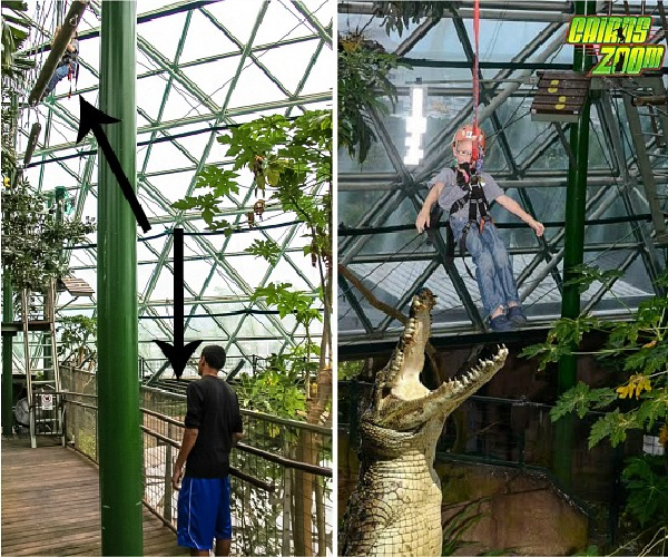 zip-lining over a crocodile for kids at Cairns ZOOm