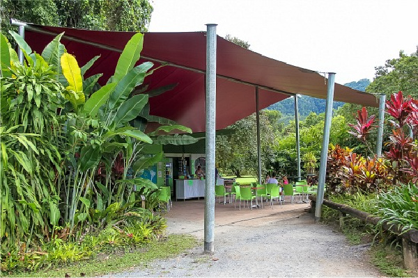 daintree icecream company