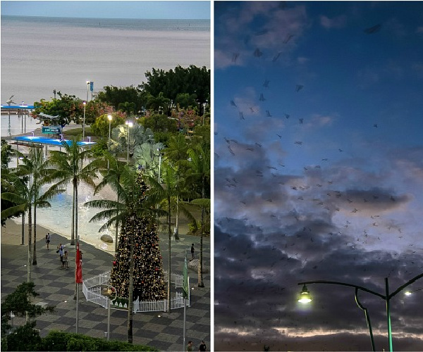 view from the mantra hotel at dusk in cairns