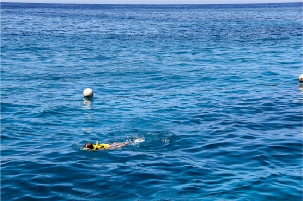 girl snorkeling great barrier reef